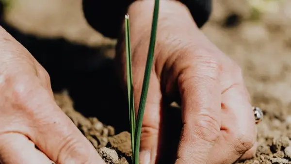 Fête de la Bio Normandie Fête de la Bio Normandie